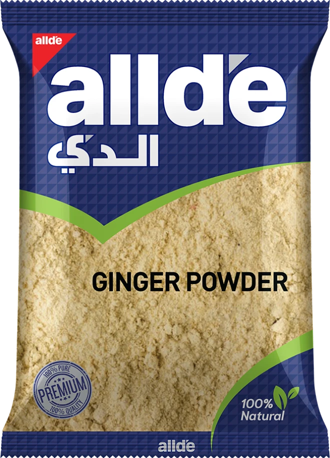 ginger powder 100 g